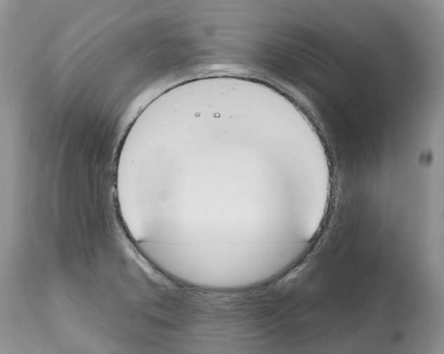 X0000112501373200909281147