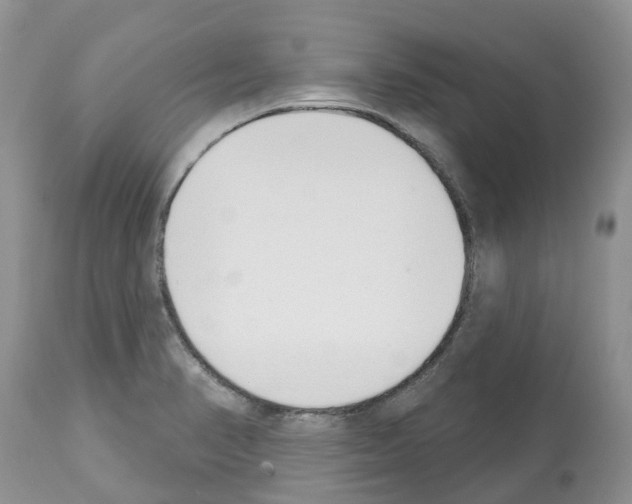 X0000112501374200909281147