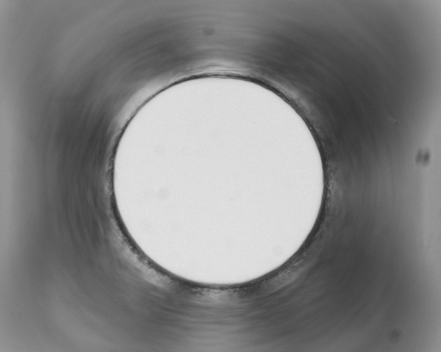 X0000112501375200909281147