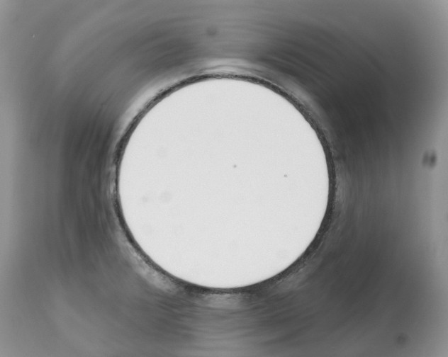 X0000112501376200909281147