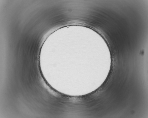 X0000112501379200909281147