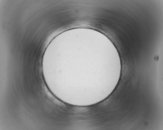 X0000112501382200909281147