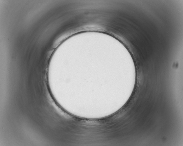 X0000112501383200909281147