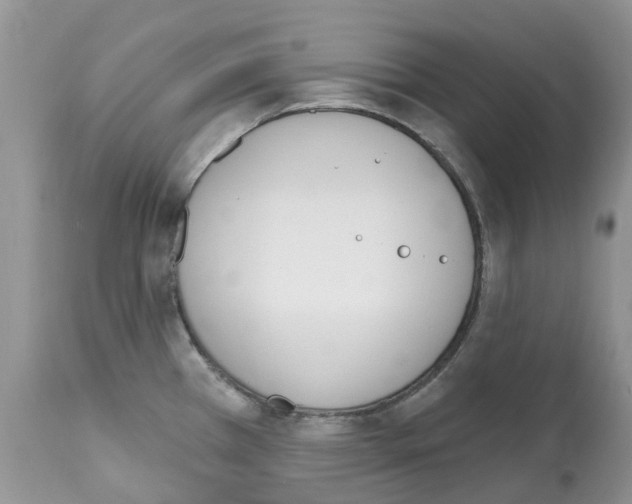 X0000112501385200909281147