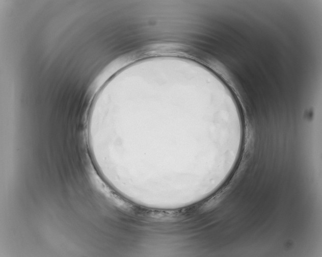 X0000112501386200909281147