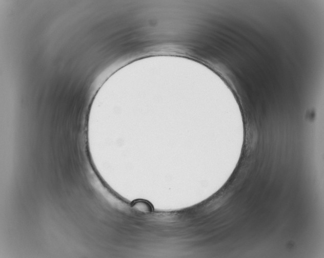 X0000112501387200909281147