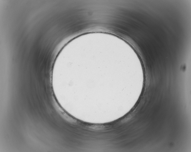 X0000112501388200909281147