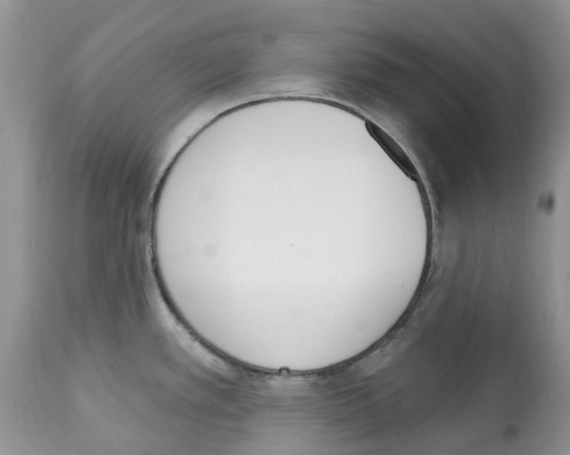 X0000112501389200909281147