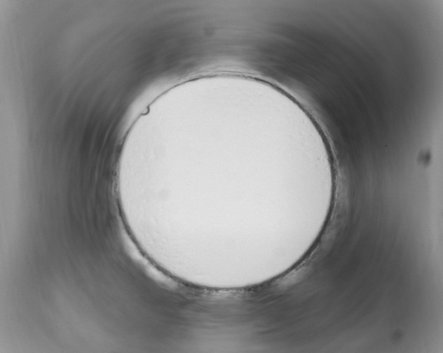 X0000112501390200909281147