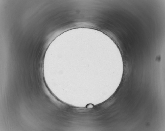 X0000112501391200909281147