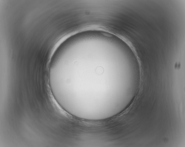 X0000112501392200909281147