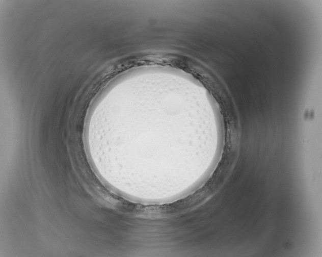 X0000112501393200909281146