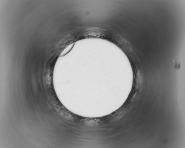 X0000112501394200909281146