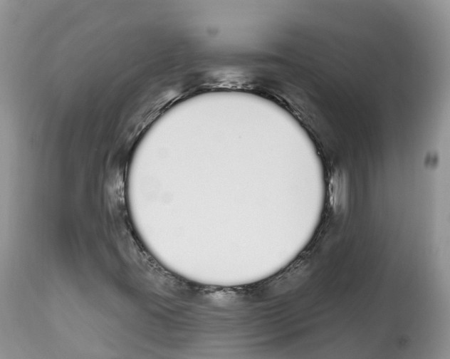 X0000112501395200909281146