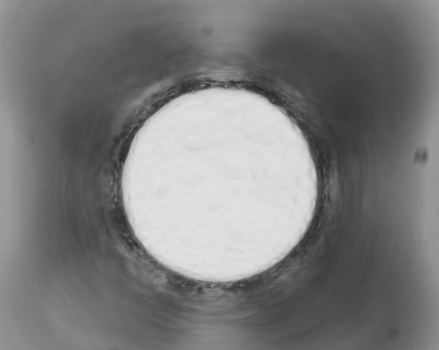 X0000112501398200909281146