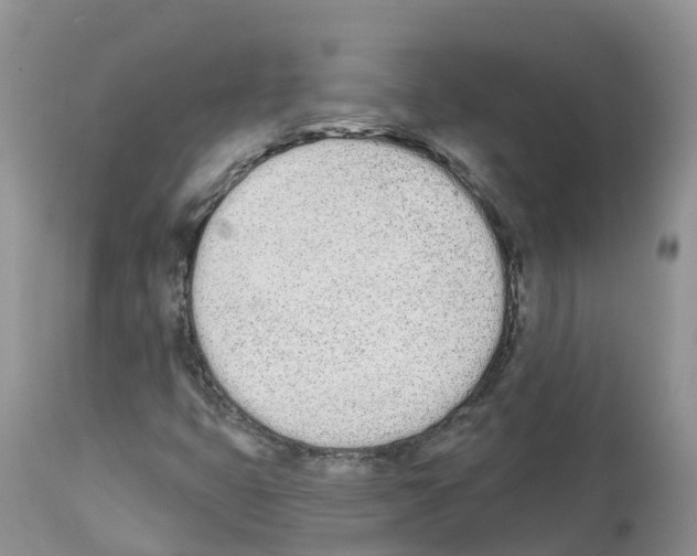 X0000112501399200909281146