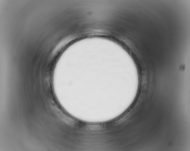 X0000112501402200909281146