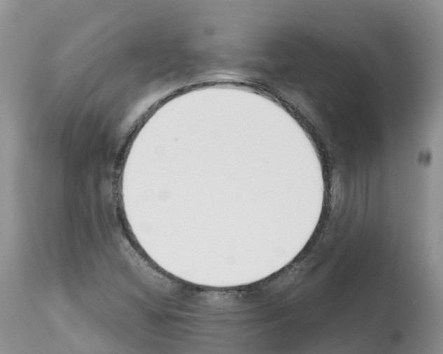 X0000112501404200909281146