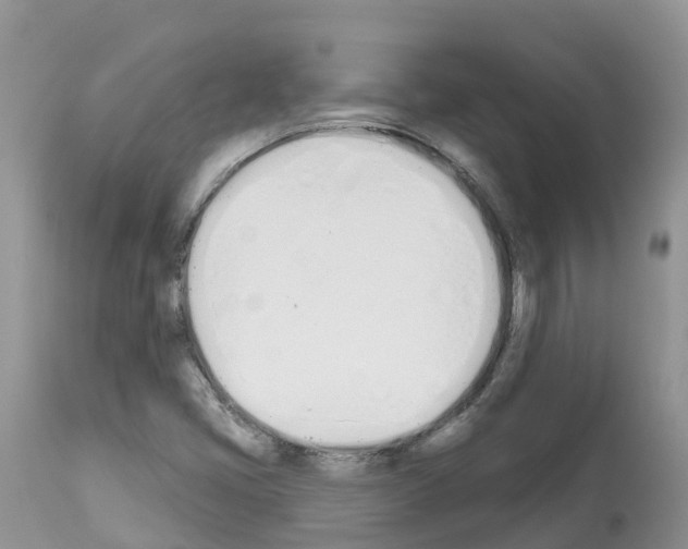 X0000112501405200909281146