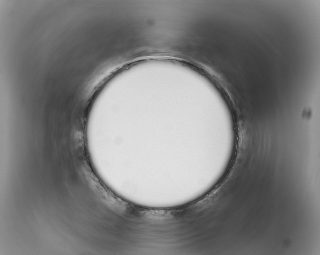 X0000112501407200909281146