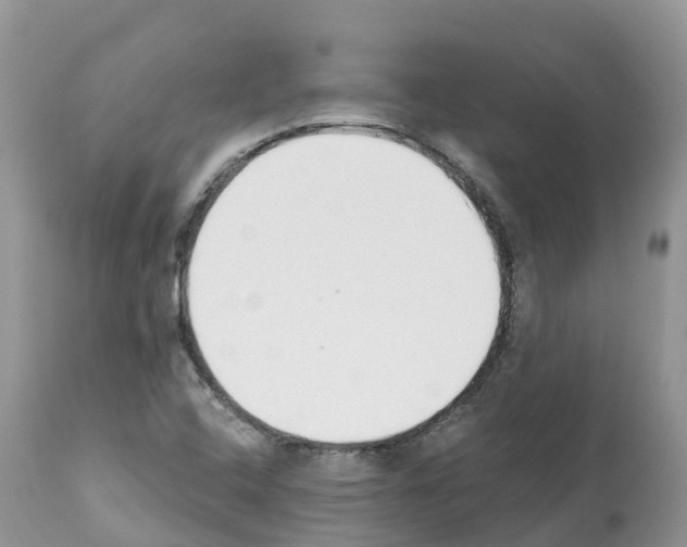 X0000112501408200909281146