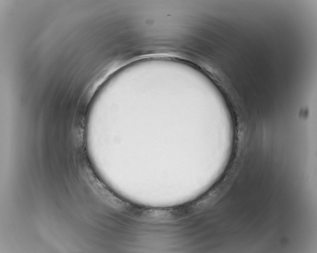 X0000112501409200909281146