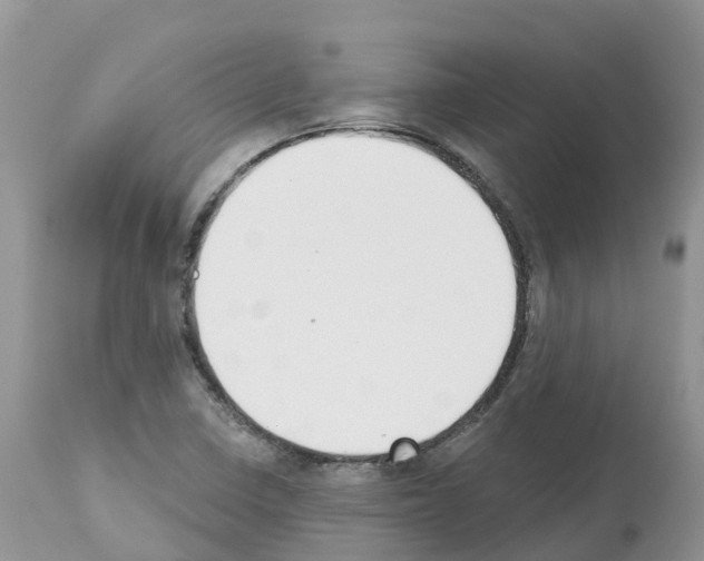 X0000112501410200909281146