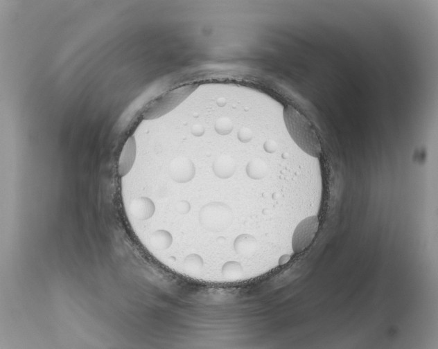 X0000112501411200909281146