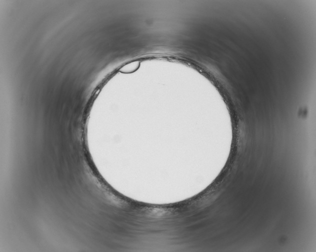 X0000112501412200909281146