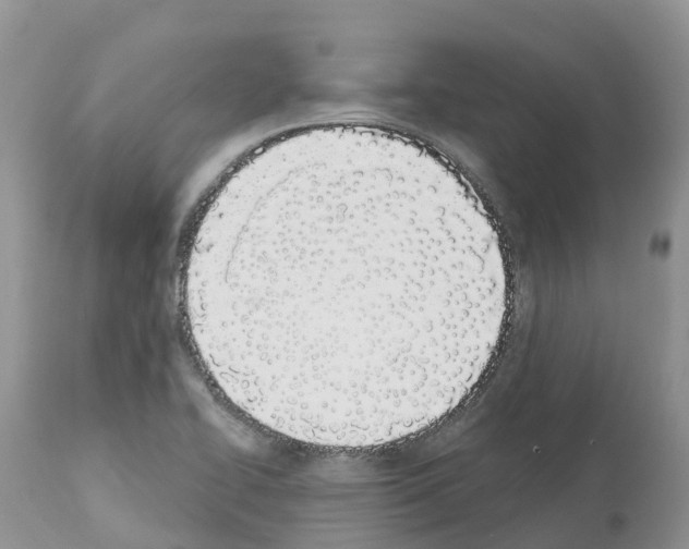 X0000112501414200909281146