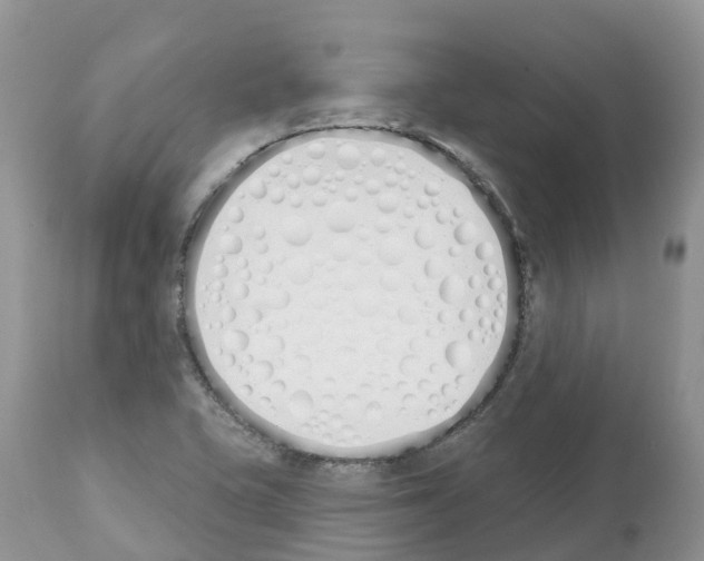 X0000112501415200909281146