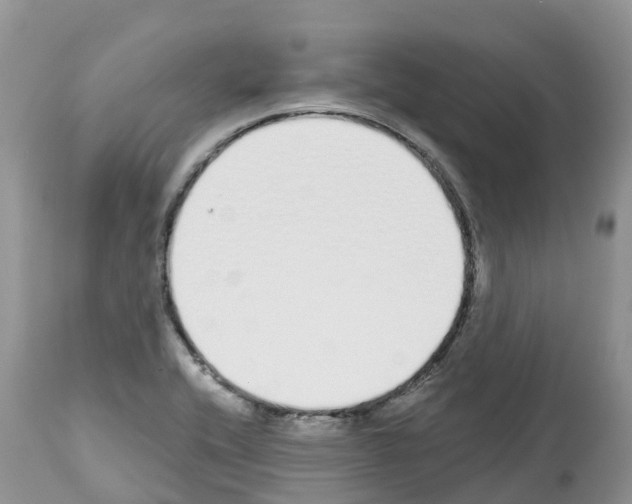 X0000112501416200909281146