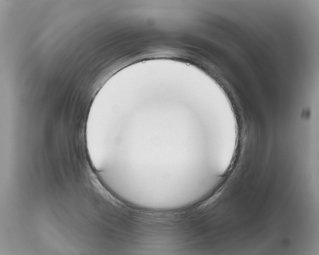 X0000112501417200909281146