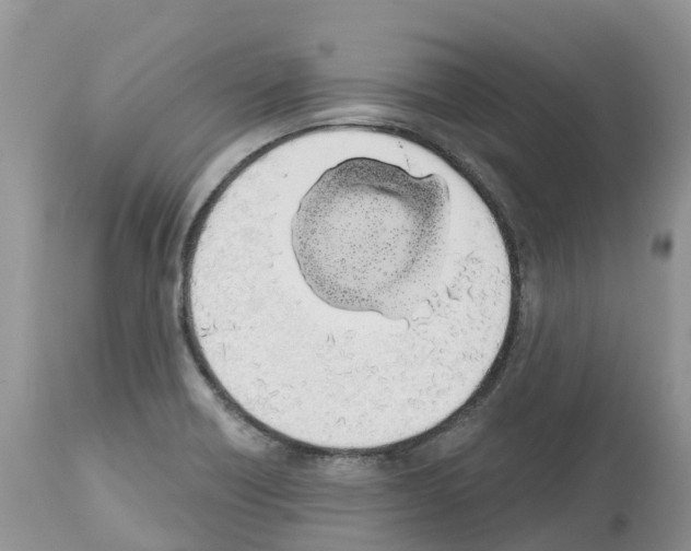 X0000112501418200909281146