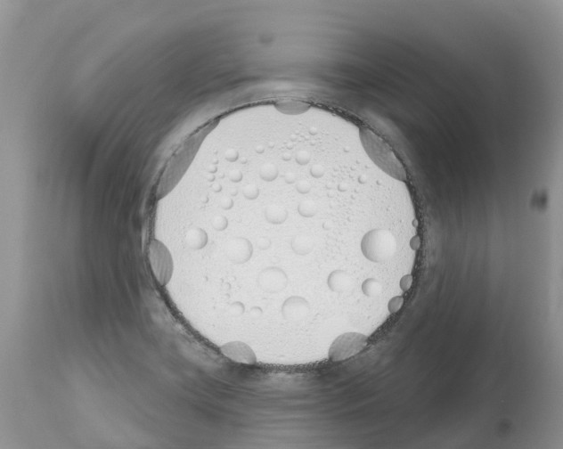 X0000112501419200909281146