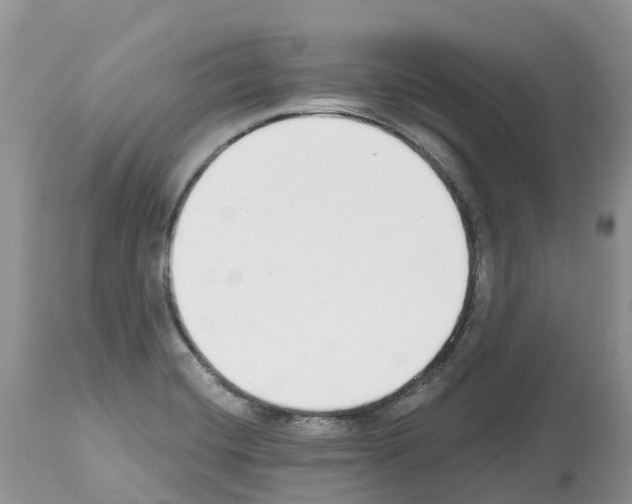 X0000112501420200909281146