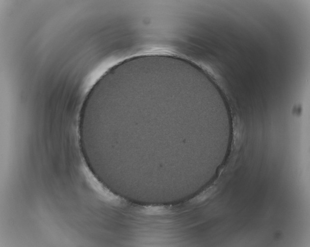 X0000112501422200909281146