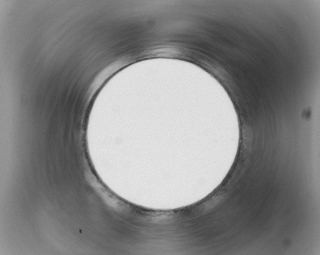 X0000112501426200909281146