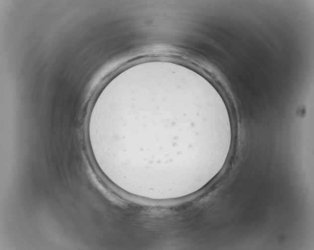 X0000112501429200909281146