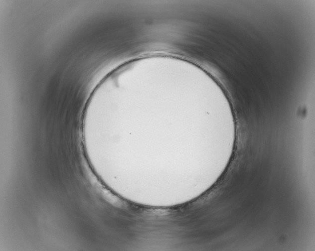 X0000112501431200909281146