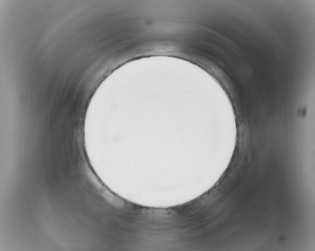 X0000112501432200909281146