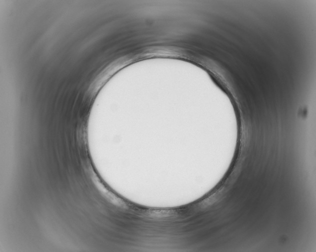 X0000112501433200909281146