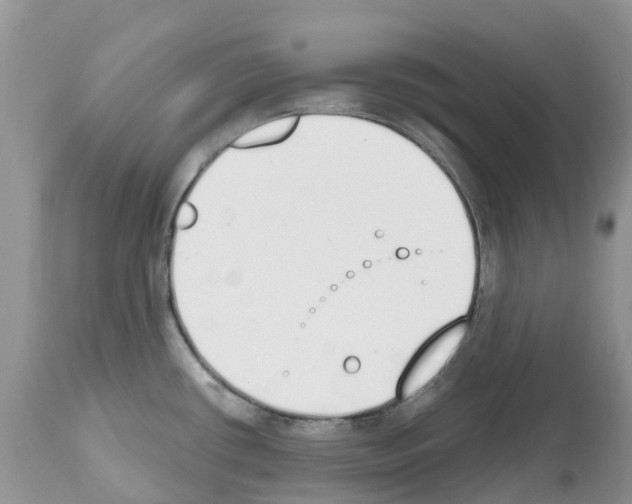 X0000112501434200909281146