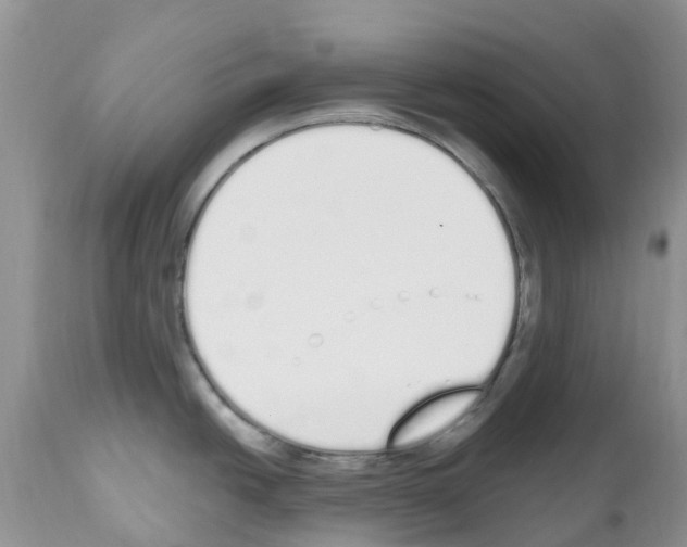 X0000112501438200909281147