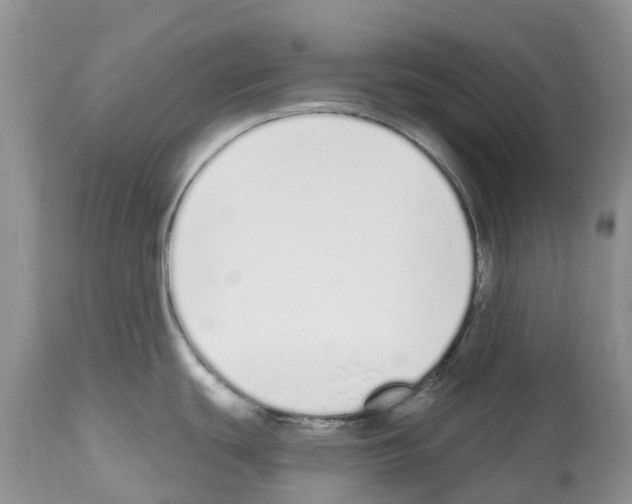 X0000112501439200909281147