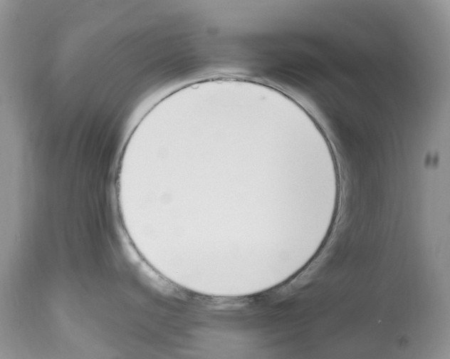 X0000112501440200909281147