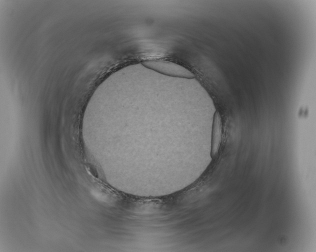 X0000112501441200909281146