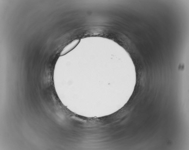 X0000112501442200909281146