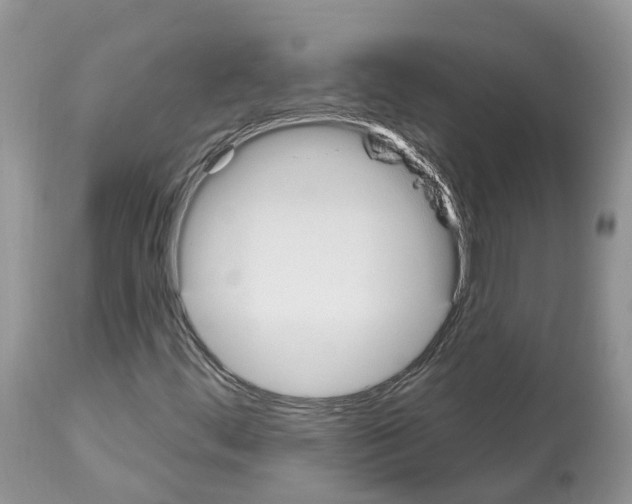 X0000112501444200909281146