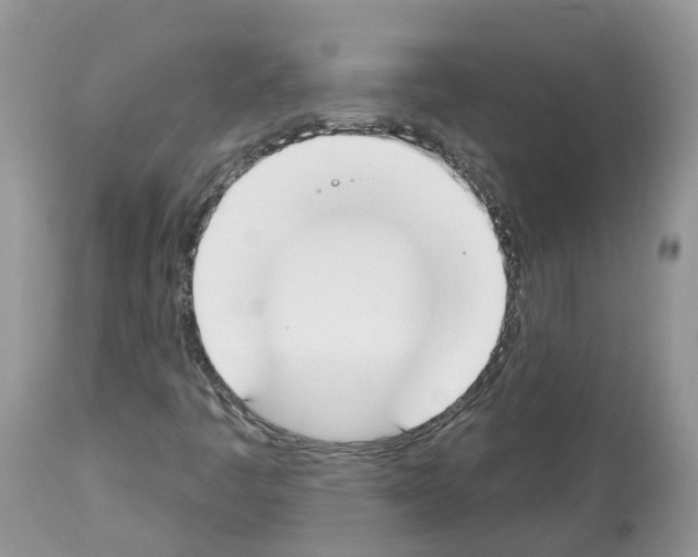 X0000112501445200909281146